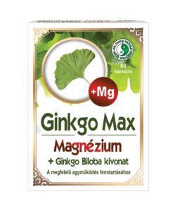 Dr. chen ginkgo max kapszula magnéziummal 60 db