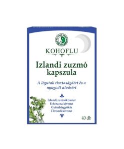 Dr. chen kohoflu izlandi zuzmó kapszula-éjszaka 40 db