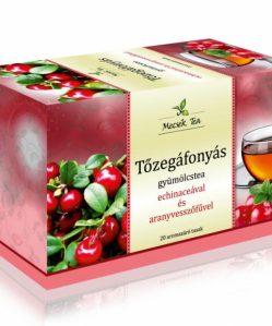 Mecsek gyümölcstea tőzegáfonyás 20x2g 40 g
