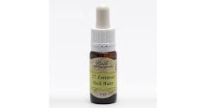 Bach virágeszencia forrásvíz 10 ml