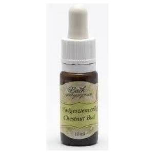 Bach virágeszencia vadgesztenyerügy 10 ml