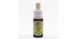 Bach virágeszencia rezgőnyár 10 ml