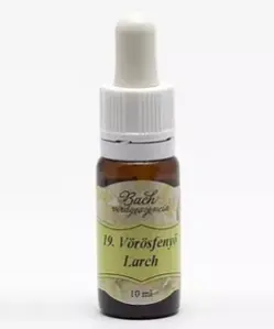 Bach virágeszencia tölgyfa 10 ml