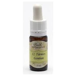 Bach virágeszencia tárnics 10 ml