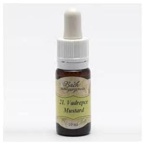 Bach virágeszencia vadrepce 10 ml