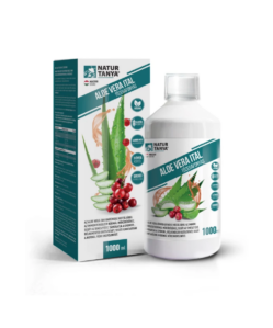 natur tanya aloe vera ital tőzegáfonyás