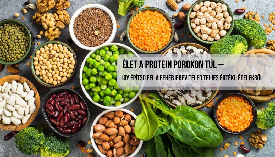 elet proteinporon tul
