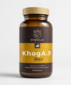 myrobalan khoga.9 gyomorégés, reflux elleni gyógynövény komplex vegán kapszula 60 db