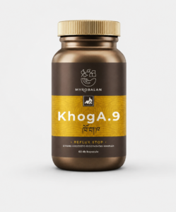 myrobalan khoga.9 gyomorégés, reflux elleni gyógynövény komplex 60db