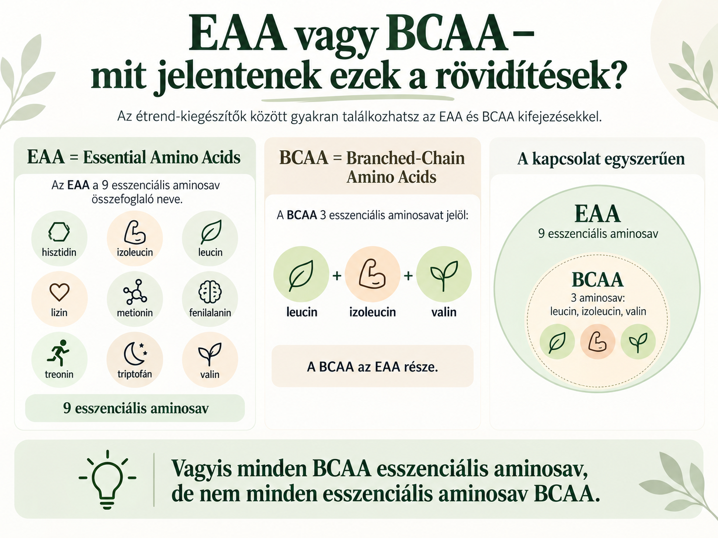 eaa és bcaa az aminosavak kapcsolata