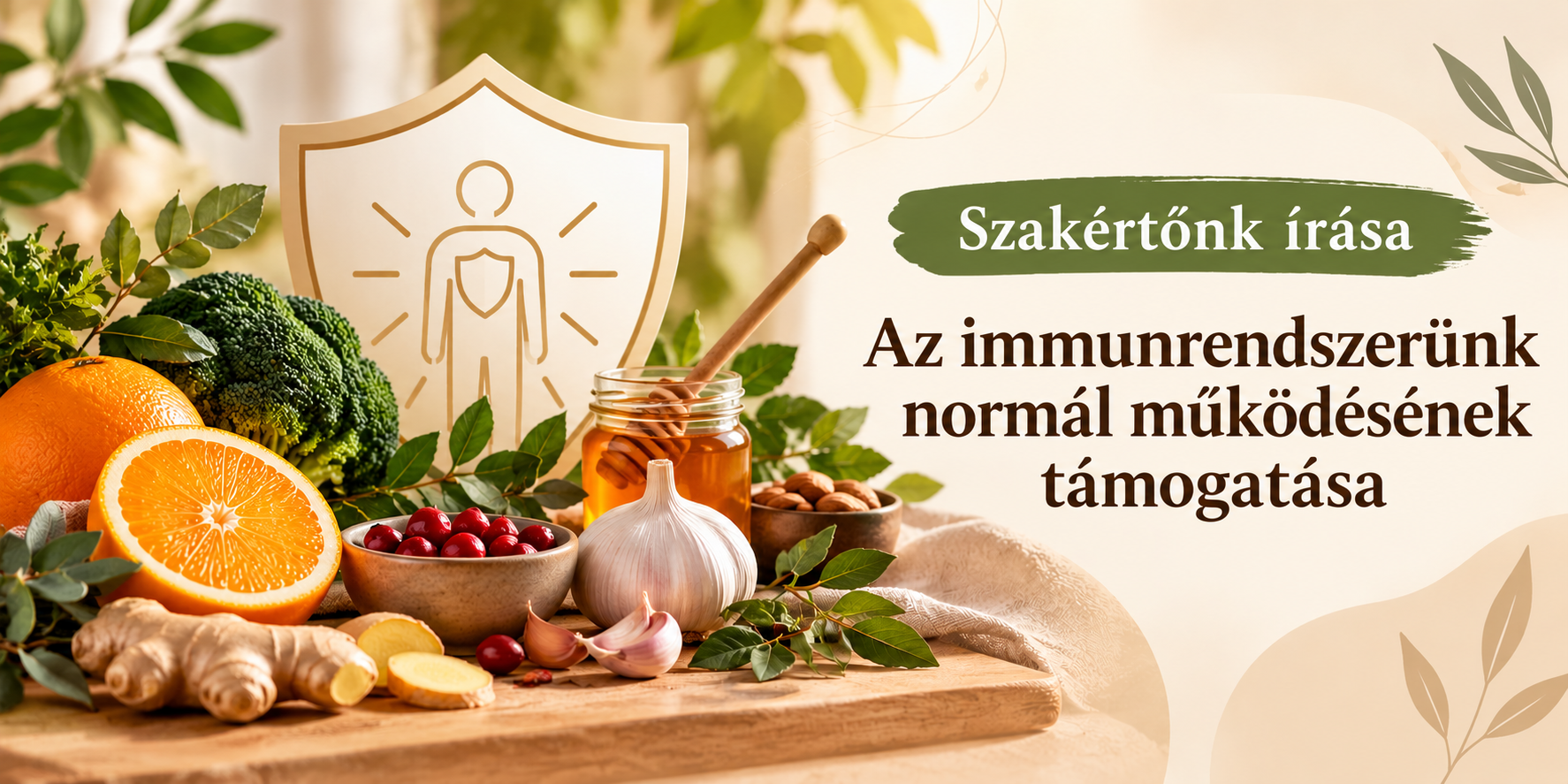 immunrendszer banner